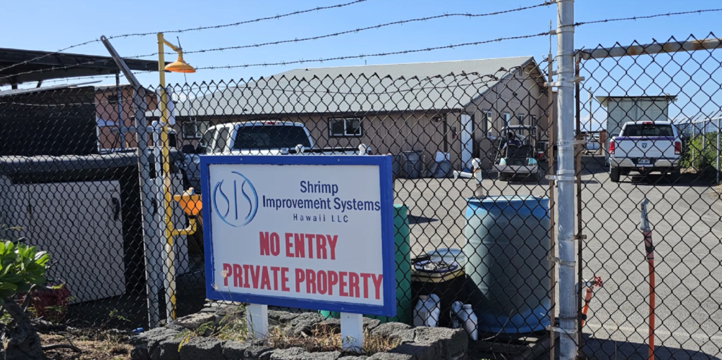 深海エビをコナ・シーソルトでクッキング