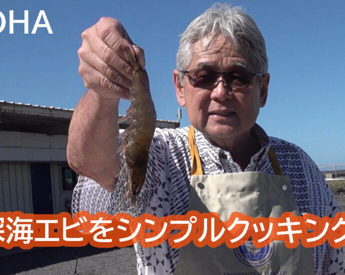 深海エビをコナ・シーソルトでクッキング