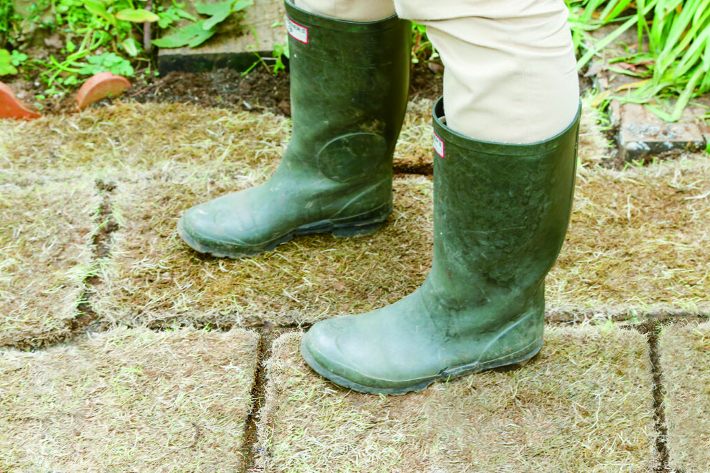 見た目に美しく花壇の花とも相性抜群　芝の張り方