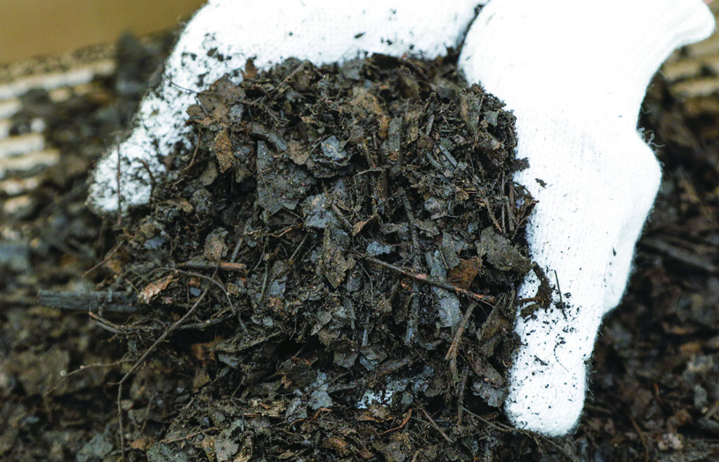 見た目に美しく花壇の花とも相性抜群　芝の張り方