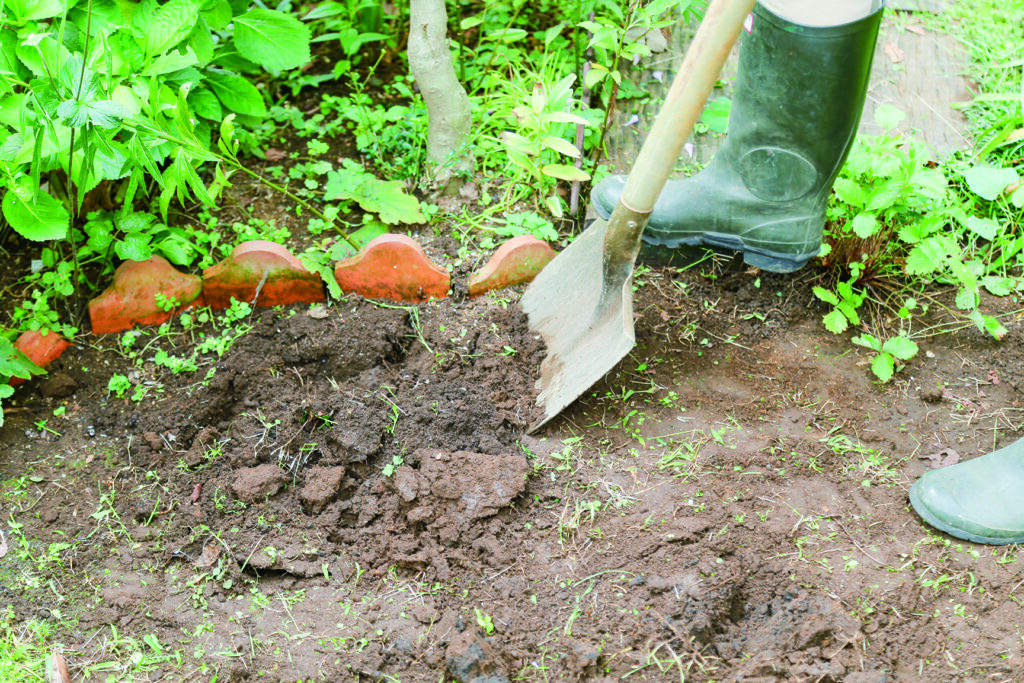 見た目に美しく花壇の花とも相性抜群　芝の張り方