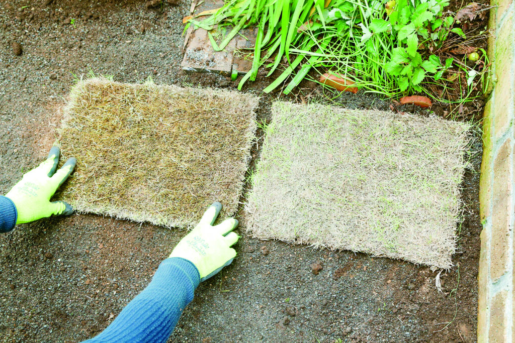 見た目に美しく花壇の花とも相性抜群　芝の張り方