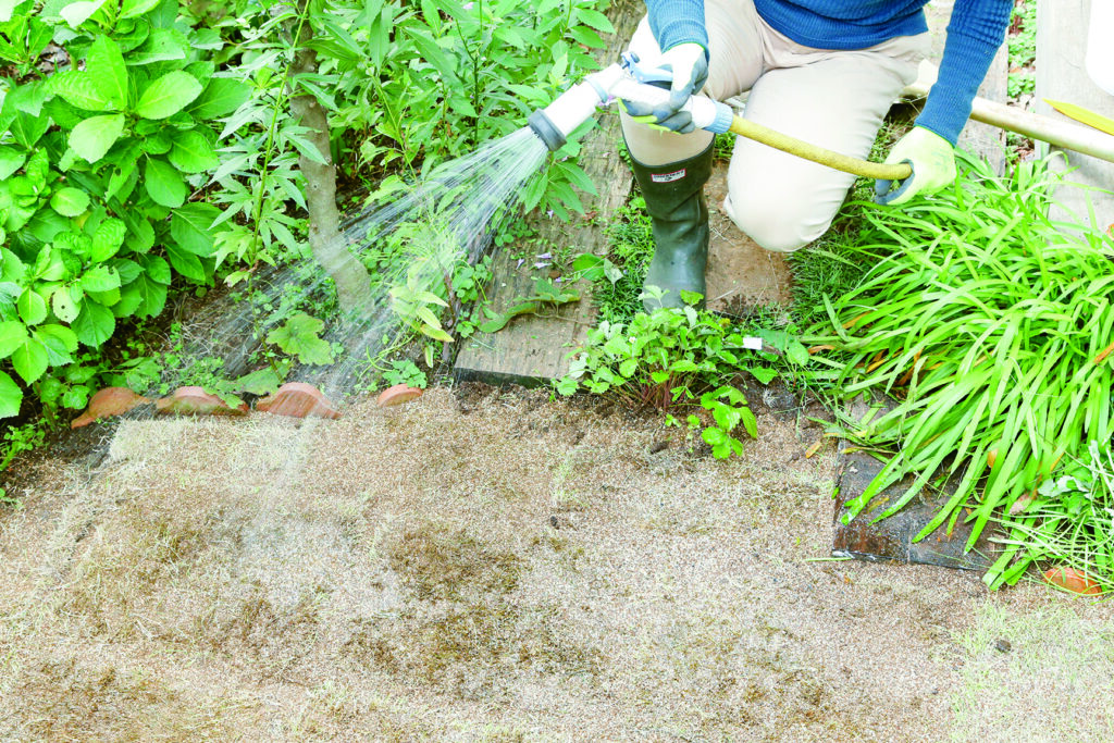 見た目に美しく花壇の花とも相性抜群　芝の張り方