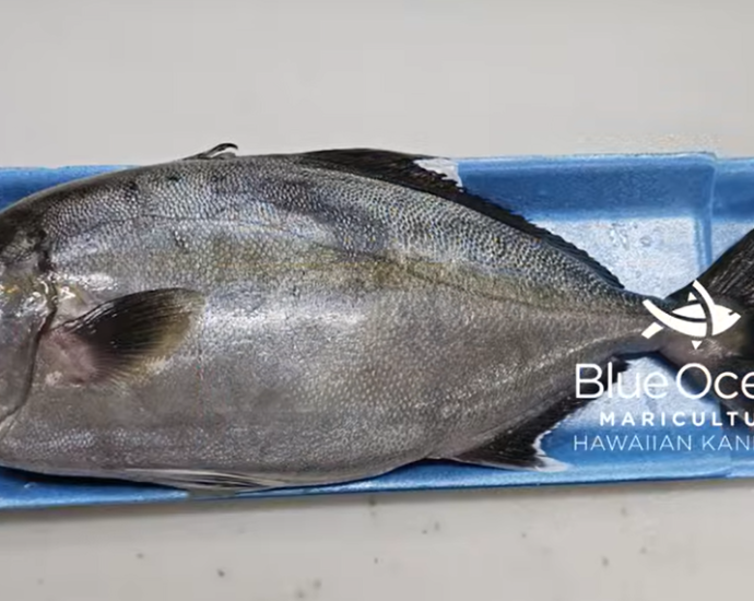 ハワイ産の新鮮なカンパチを使った蒸し魚の作り方